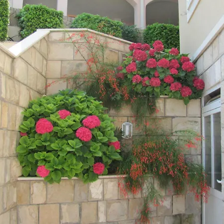 Guest house Soba Mirus